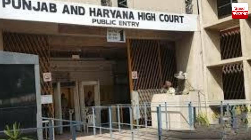 Punjab-Haryana High Court gets 10 new judges