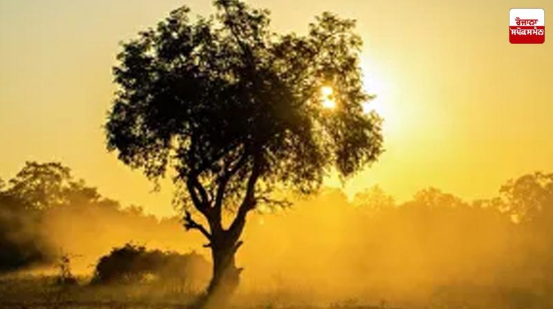 Punjab Weather Update