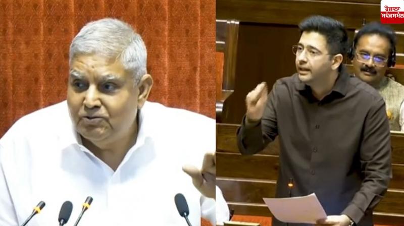 Dhankhar  Raghav Chadha rajya sabha News in punjabi 