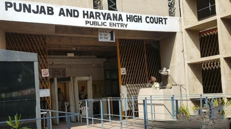 Punjab and Haryana High Court 