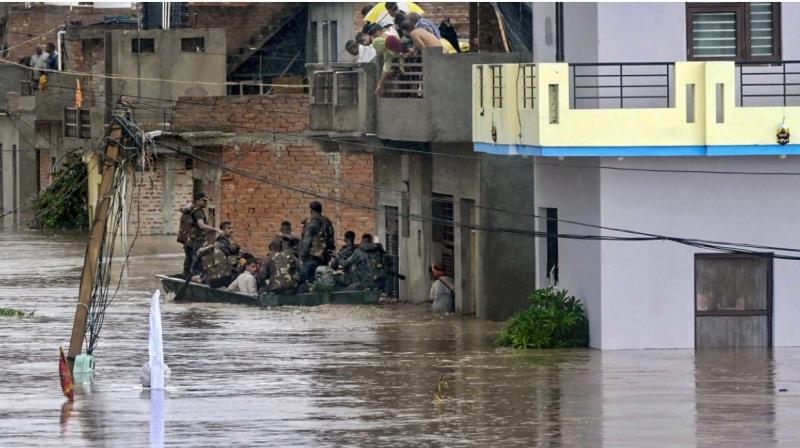  An amount of Rs. 50,000 has been distributed to each district for medicines livestock in 11 flood-affected districts.