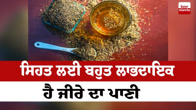 Cumin water is very useful for health