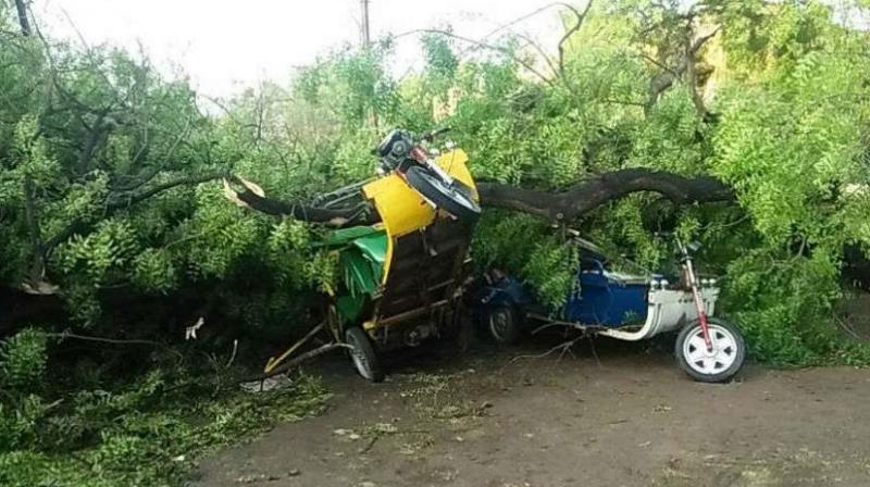 storm terror 3 people killed rajasthan