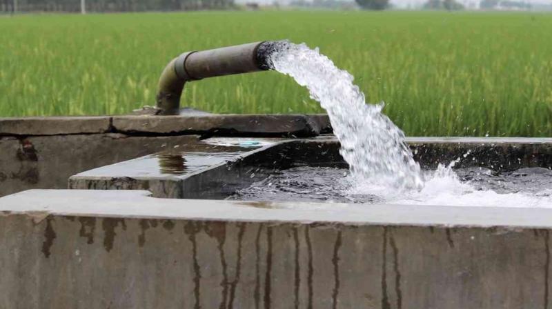  In 9 districts of Punjab, the underground water has deepened by one and a half meters