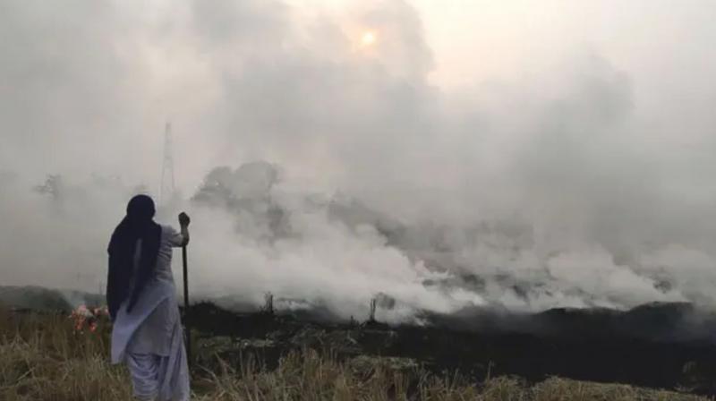 9 cases of stubble burning were reported in Punjab on the first day, the report revealed
