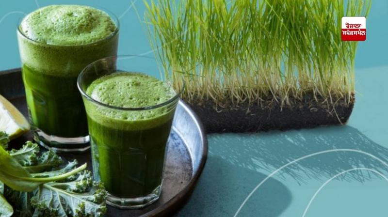 The juice of wheat leaves has the ability to fight against various diseases