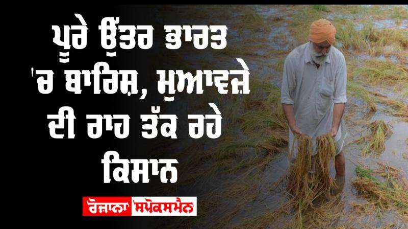 Punjab Farmer Agriculture Rain Crops Wheat