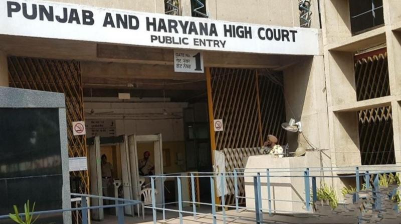 All employees appointed before 2004 entitled to old pension Punjab Haryana High Court news in punjabi