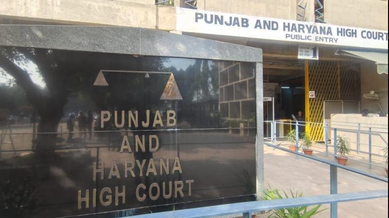 The court allowed a girl to have an abortion at 12 weeks Chandigarh News in punjabi 
