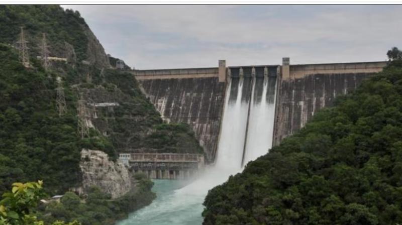 The water level will increase in Beas-Sutlej in Punjab, 20 thousand cusecs of water will be released from Pong Dam.