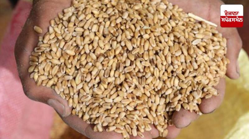 Income tax payers will not get free ration