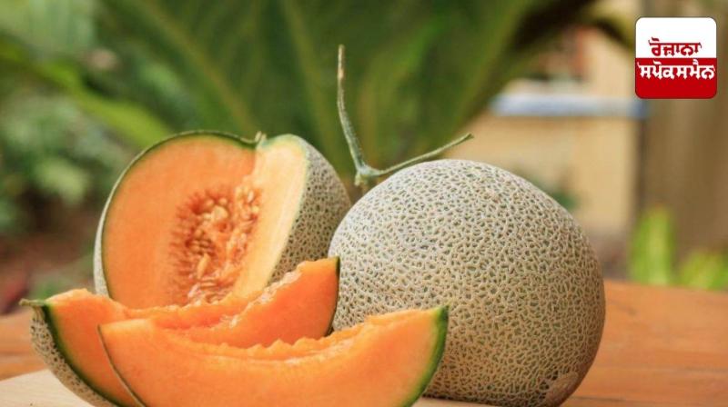 Melon is very beneficial for health