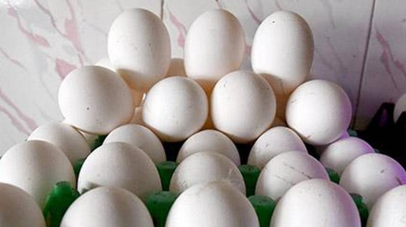Chicken and egg price in india 2019 poultry prices may surge by up 20 percent