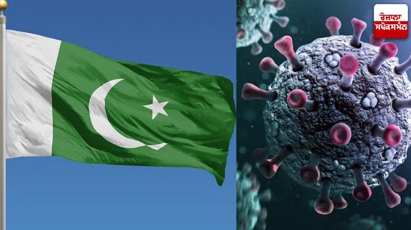 Pakistan Corona Cases News in punjabi 