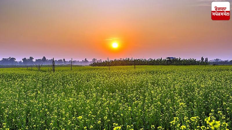 Punjab Weather Update