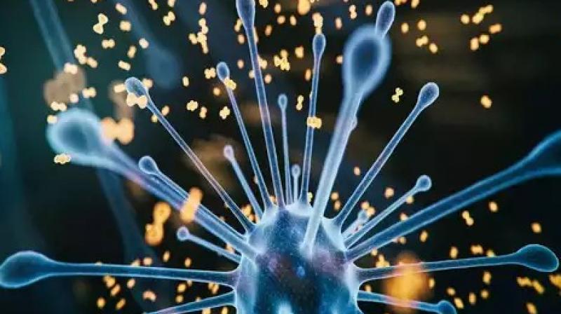 First death in UK with Omicron, 75,000 deaths feared by April