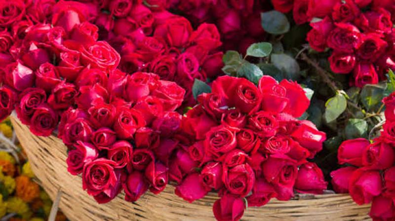 The 48th Fair of Roses in February