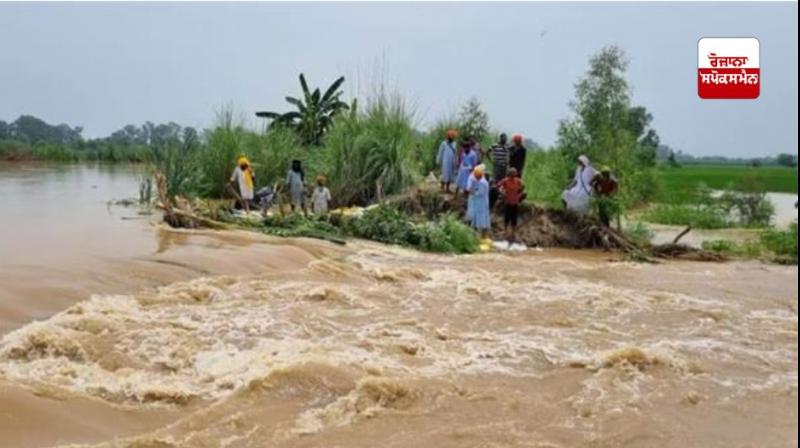 ਪੰਜਾਬ 'ਚ ਰਾਹਤ ਕਾਰਜ ਜ਼ੋਰਾਂ 'ਤੇ: ਪਿਛਲੇ 24 ਘੰਟੇ 'ਚ 4711 ਹੜ੍ਹ ਪੀੜਤ ਸੁਰੱਖਿਅਤ ਥਾਵਾਂ 'ਤੇ ਪਹੁੰਚਾਏ