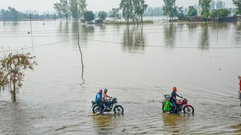 Punjab Flood 