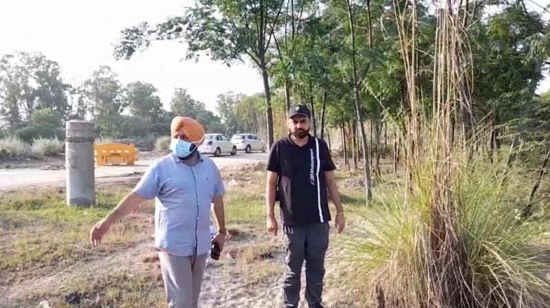 Forest department and tree keepers face to face over tree care