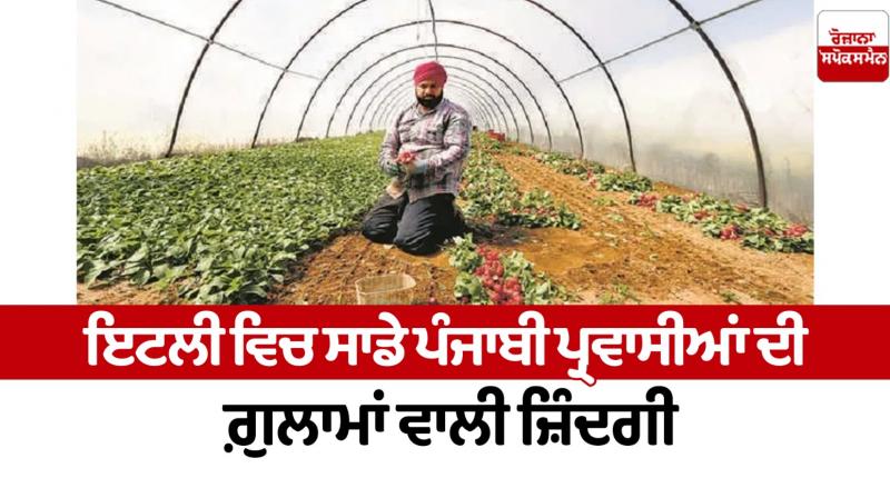 Slave life of our Punjabi immigrants in Italy Editorial