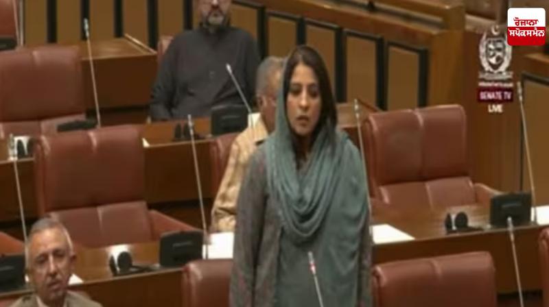 Pak Army to lay first brick on new Babri Masjid in Ayodhya: Pakistani Senator