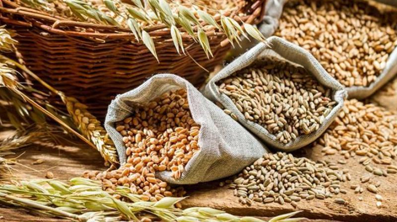 Central Government reprimands Punjab over food distribution