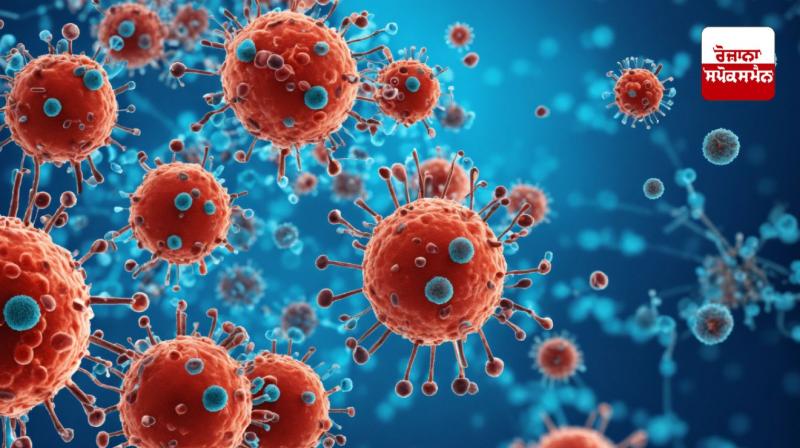 12 cases of HMPV like coronavirus in the country