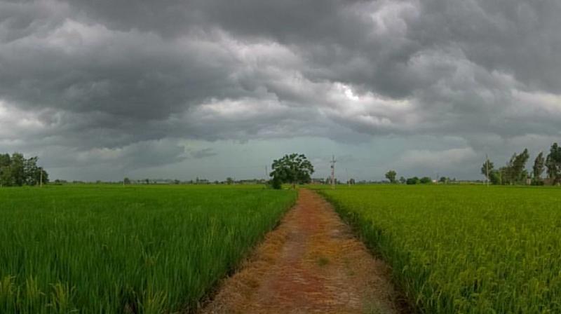 Chance of rain in 5 districts of Punjab, temperature increased in many cities