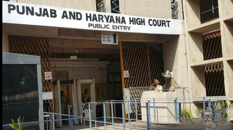Punjab and Haryana High court