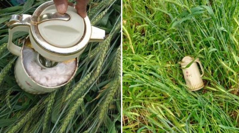 BSF recovered 810 grams of heroin from Bhorupal in Amritsar