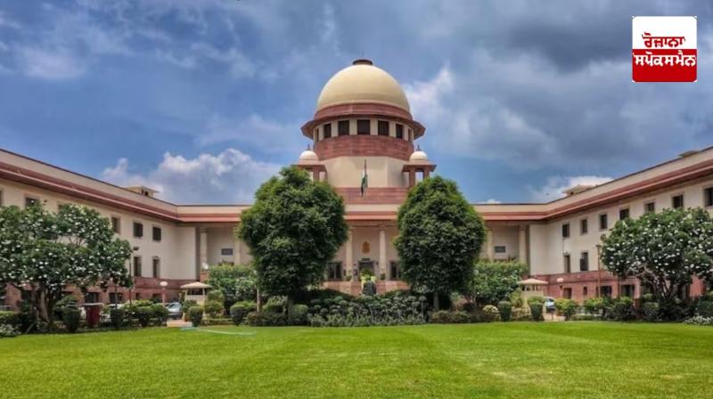 The government challenged the order to hold council elections in Punjab in the Supreme Court