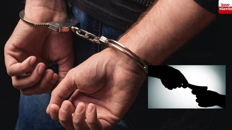 Representated Image.