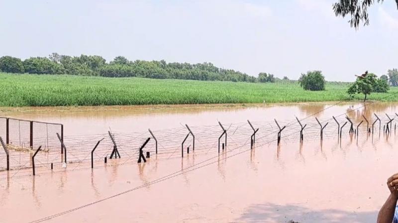 Rise in Ravi affects journey through Kartarpur Corridor