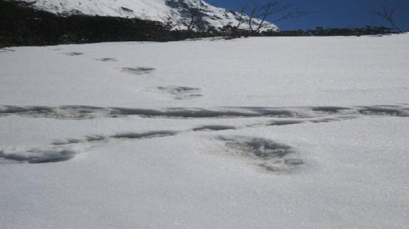 Footprints of Snow Man