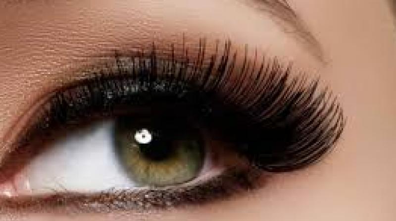  Eye Lashes