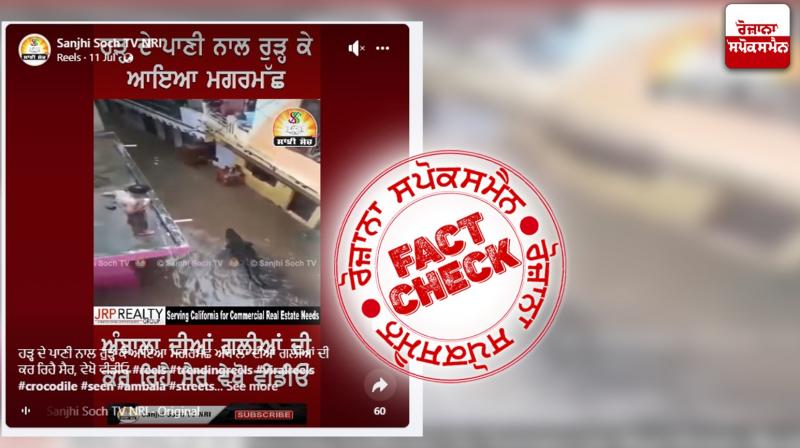 Fact Check Old video of Crocodile roaming in flood water shared in the name of ambala flood situation