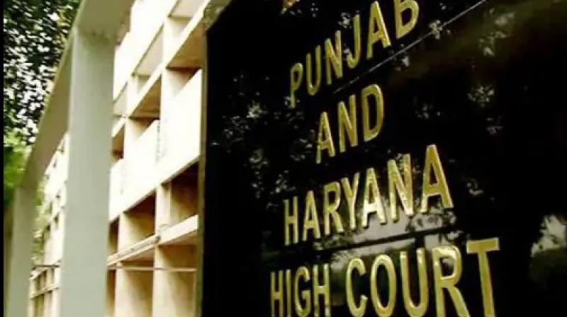  Punjab and Haryana High Court 