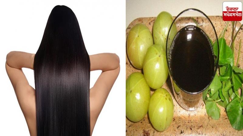 Apply these things mixed with amla oil
