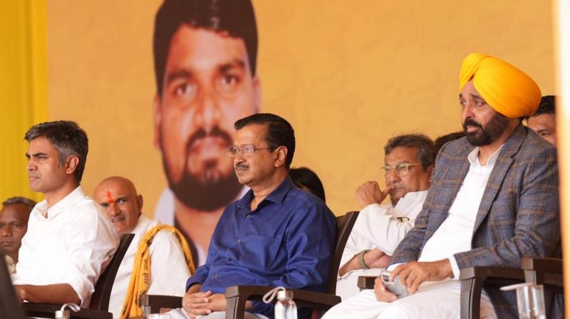 CM mann Says Whoever fights for common people, BJP would send him to jail News in punjabi 