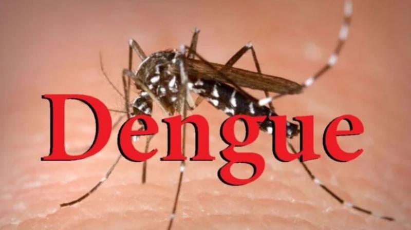 the health department made this appeal to the people