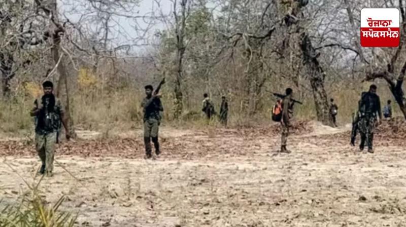 12 Naxalites killed on Chhattisgarh-Maharashtra border Latest News in Punjabi 