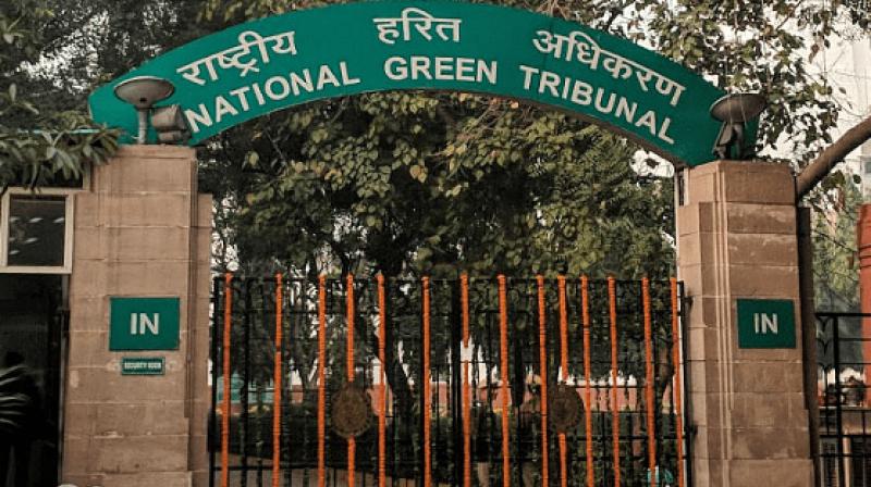 NGT ban sale or use of all kinds of firecrackers till 30th November