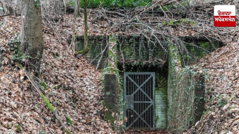 Terrorists building underground bunkers in dense forests