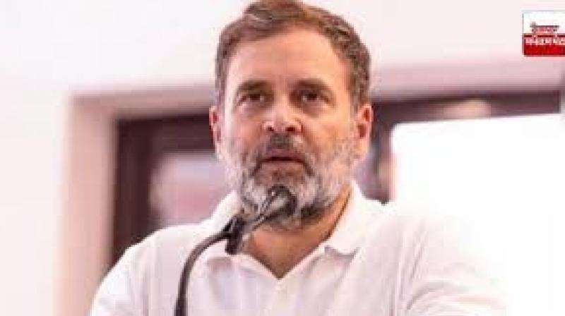 Gujarat model a model of 'vote theft': Rahul Gandhi