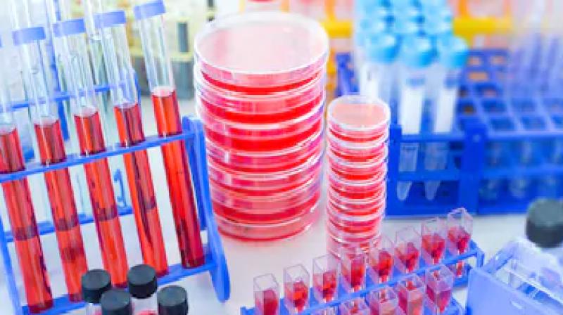 Coronavirus anti body rapid test kit fail india ban china reaction