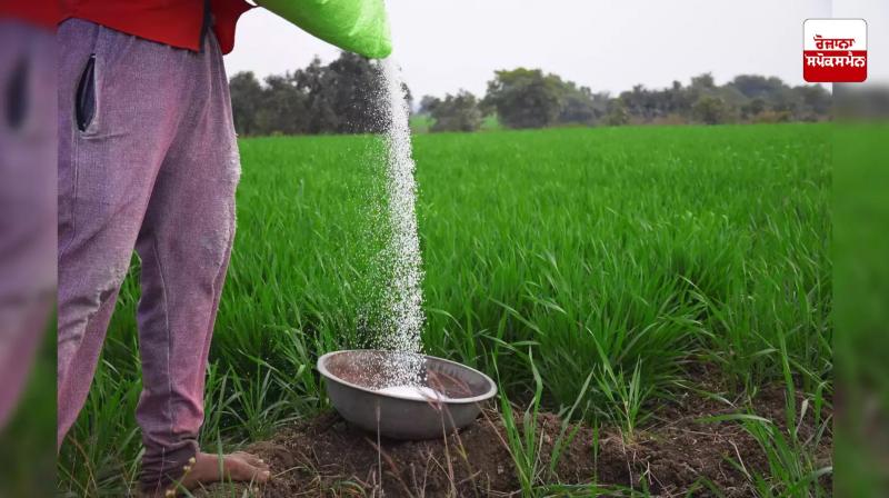 India imported 8.47 lakh tonnes of DAP fertilizer from China till February