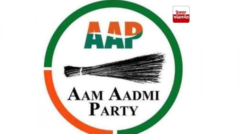 AAP logo 