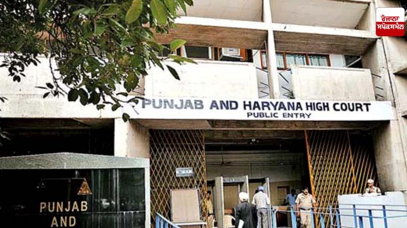 District level nodal officers to be appointed for the protection of lovers: High Court