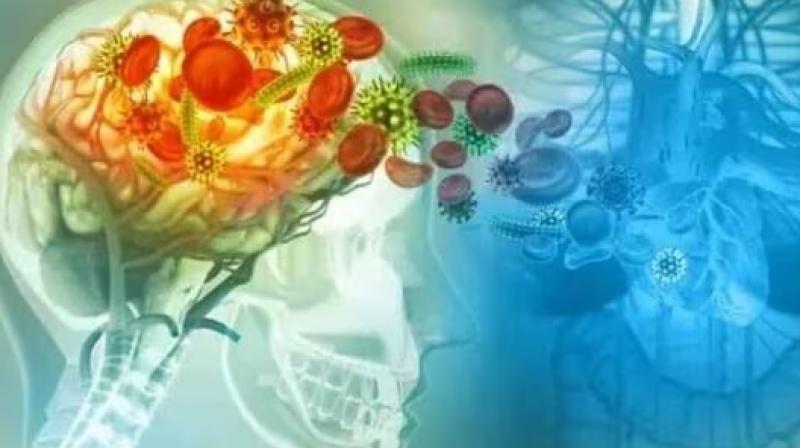 Kerala brain eating amoeba New Case